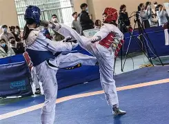 芒果体育-包含跆拳道赛场再起风云：泰山鲨队队小胜云贵独角兽队，脚步移动更到位传控打穿防线的词条